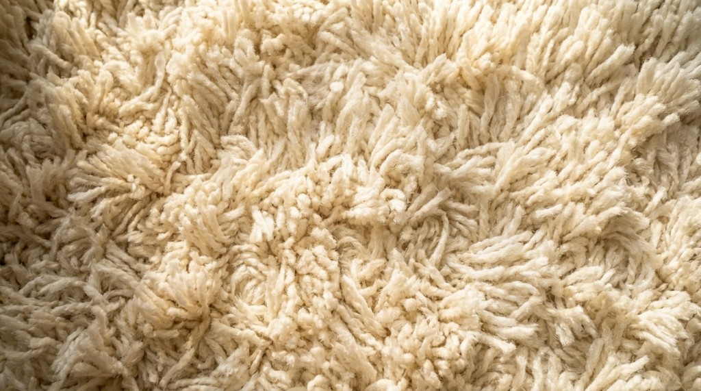 Clean carpet after extraction